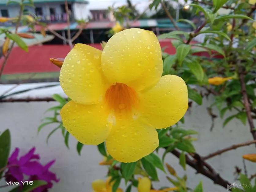 vivo Y16 Camera (19)