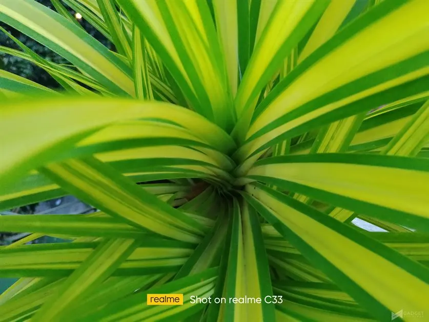 realme C33 Samples (3)