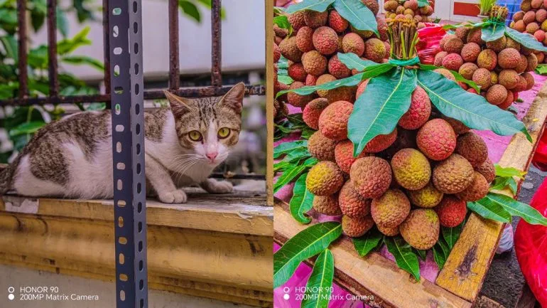 HONOR 90 5G's portrait shots