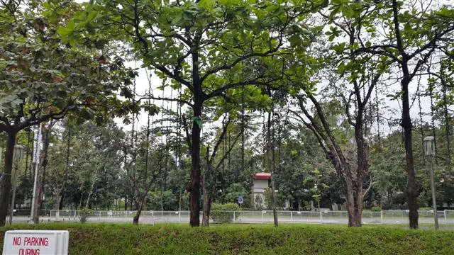 20141130_123524 (Custom)