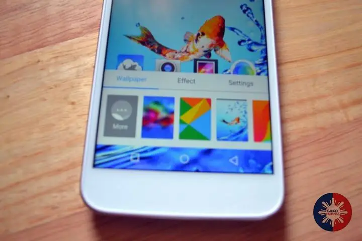 12498759_455101171360572_518641743_n