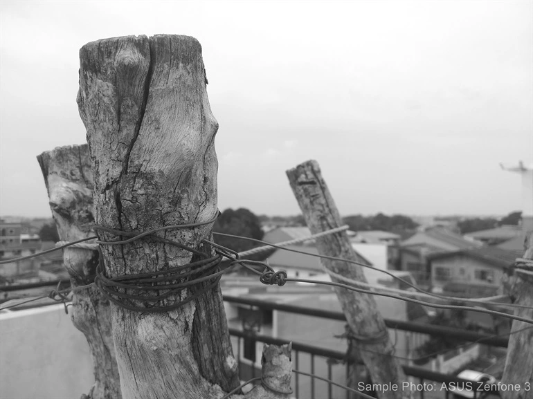 ASUS Zenfone 3 Sample Photo BW Effect