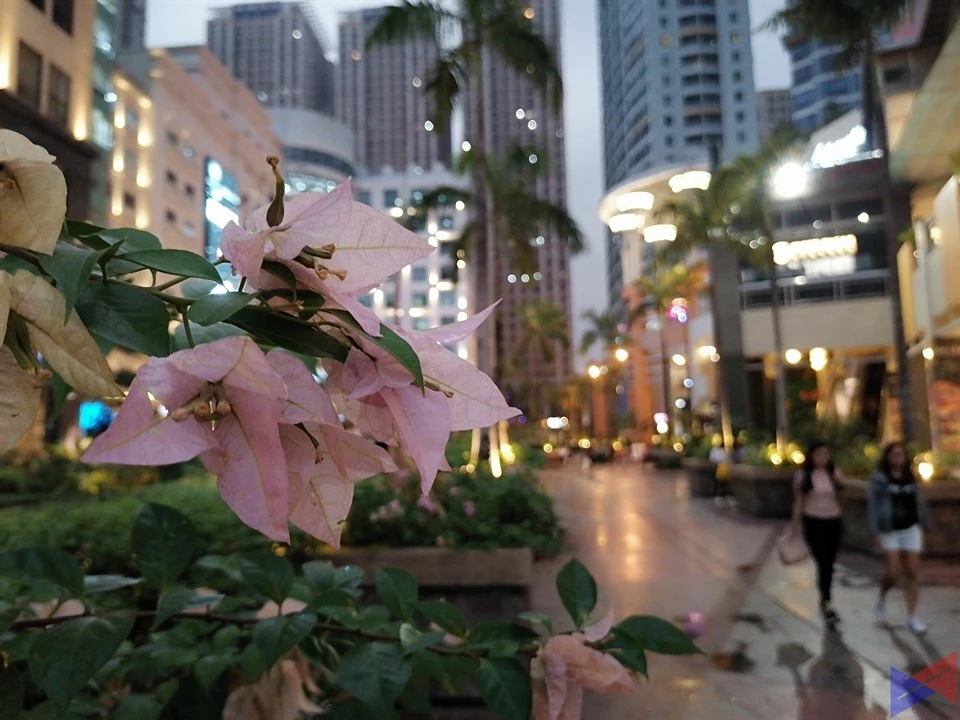 Huawei Y9s Camera Sample (37)