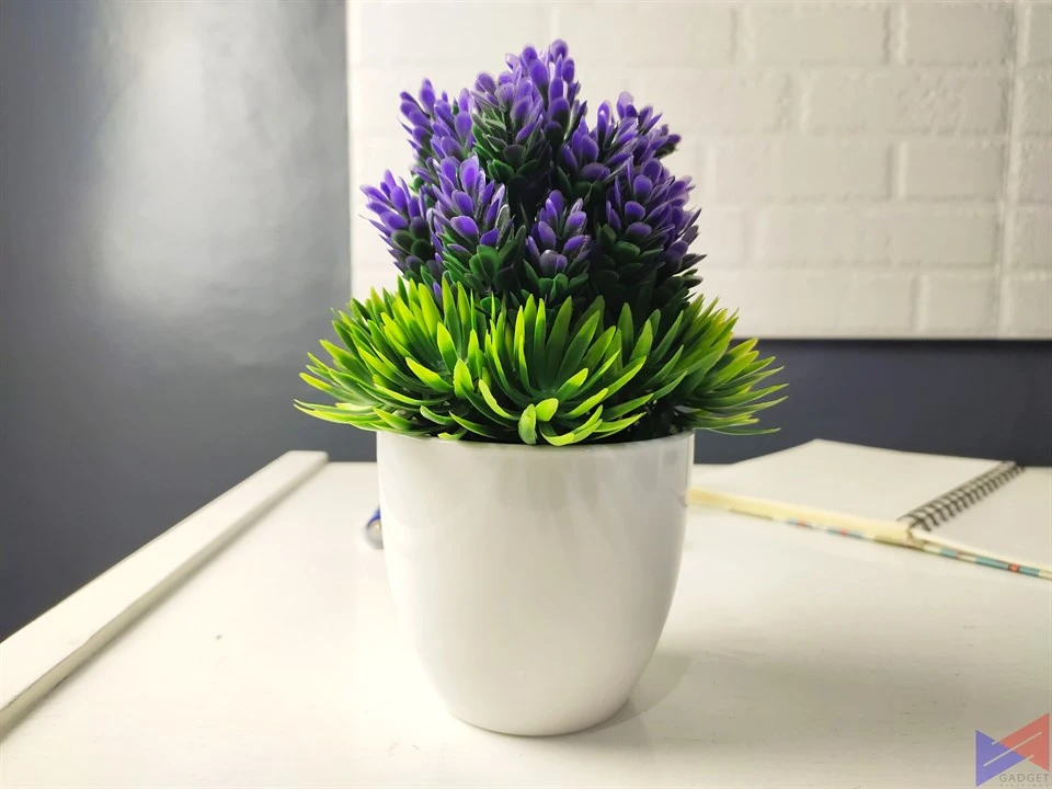 Vivo V17 Pro Plant