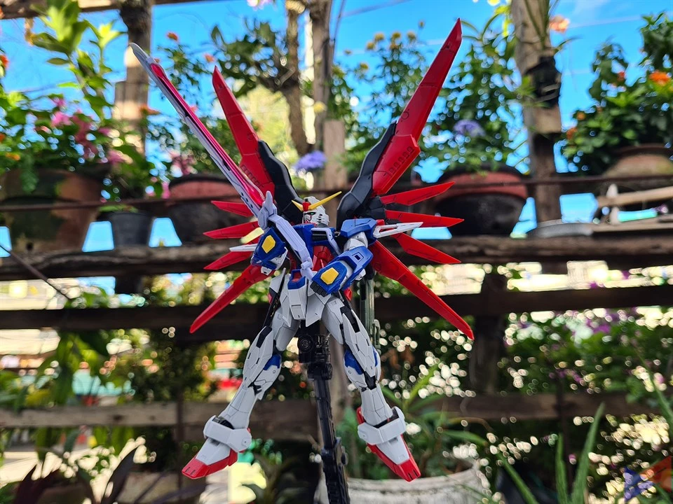 S20+ Camera Sample (4)