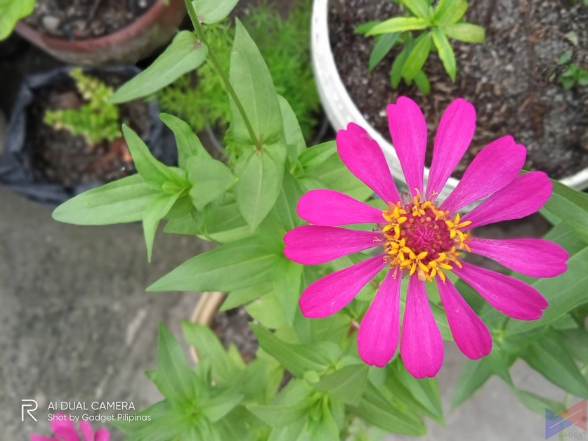 realme C11 Camera Sample (25)