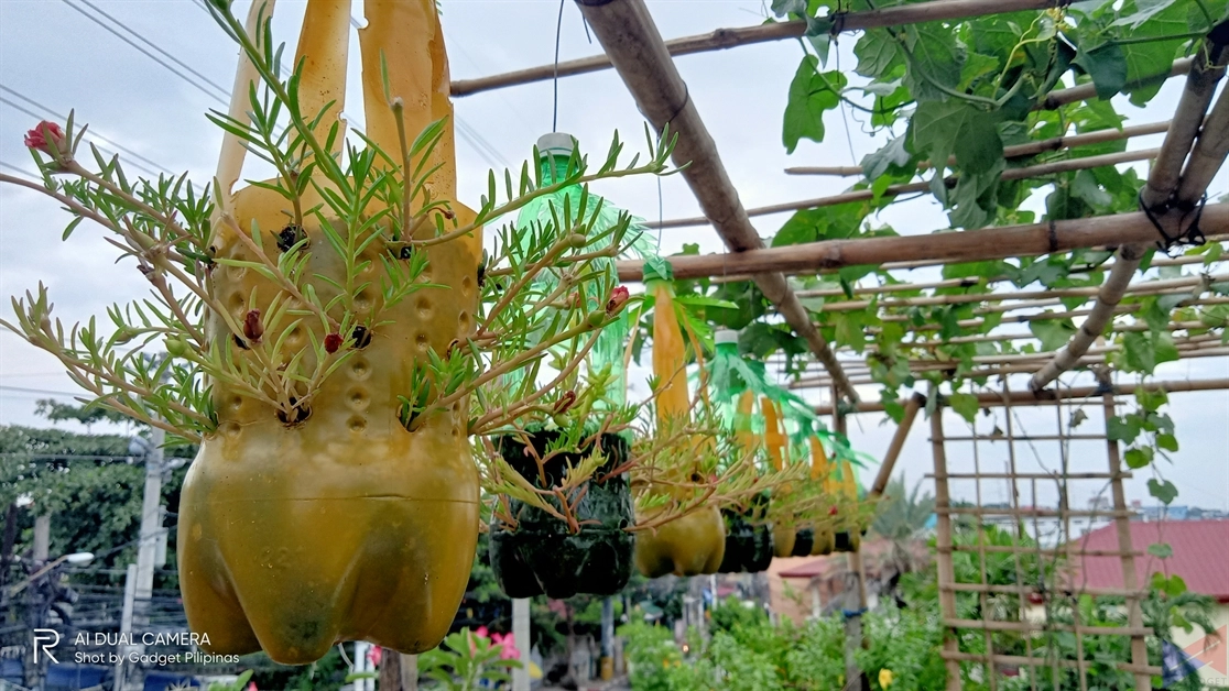 realme C11 Camera Sample (32)