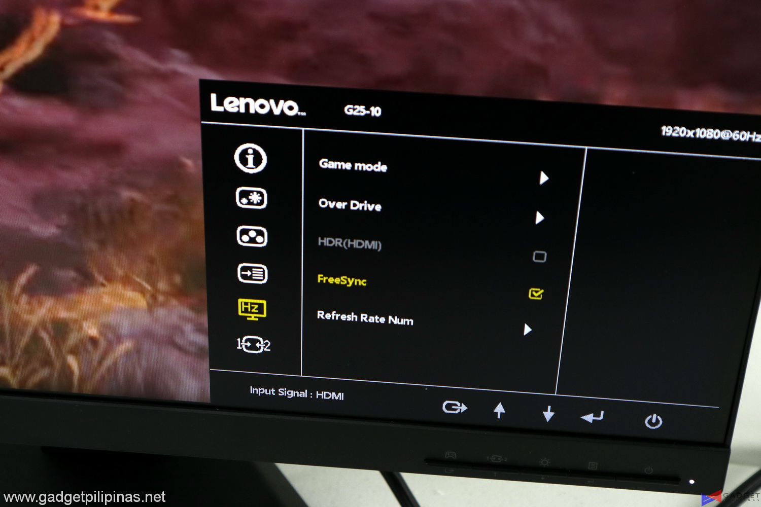 Lenovo G25-10 Monitor Review 018