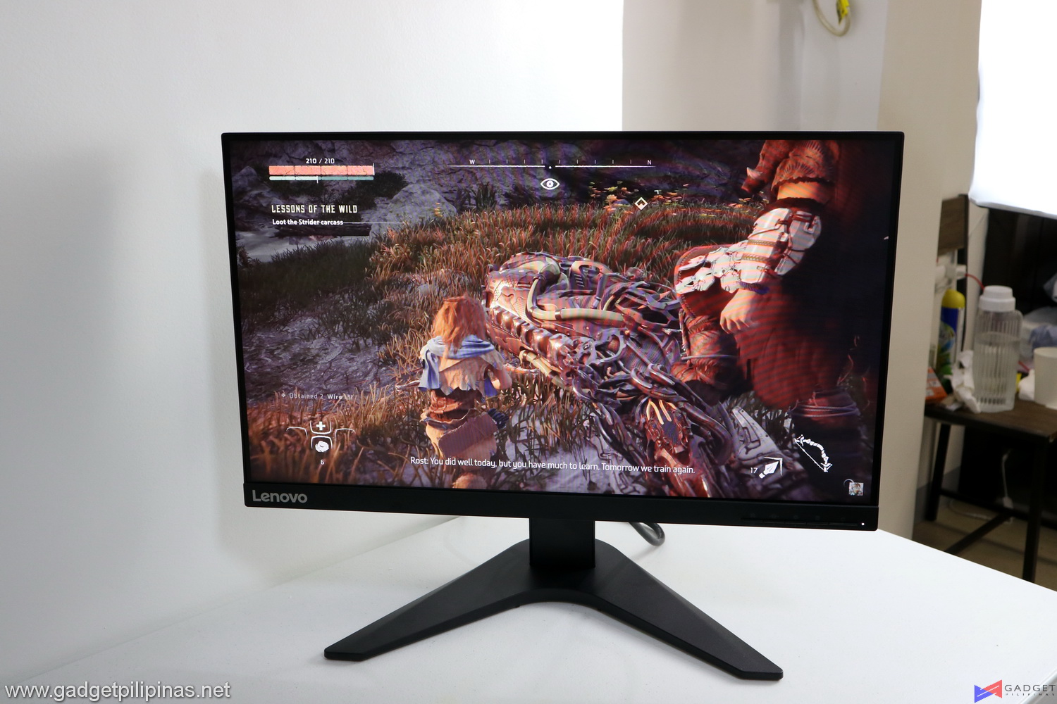 Lenovo G25-10 Monitor Review 027