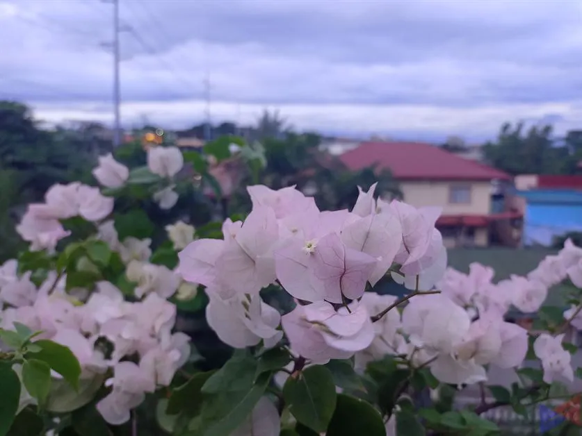 realme Narzo 20 Camera (6)