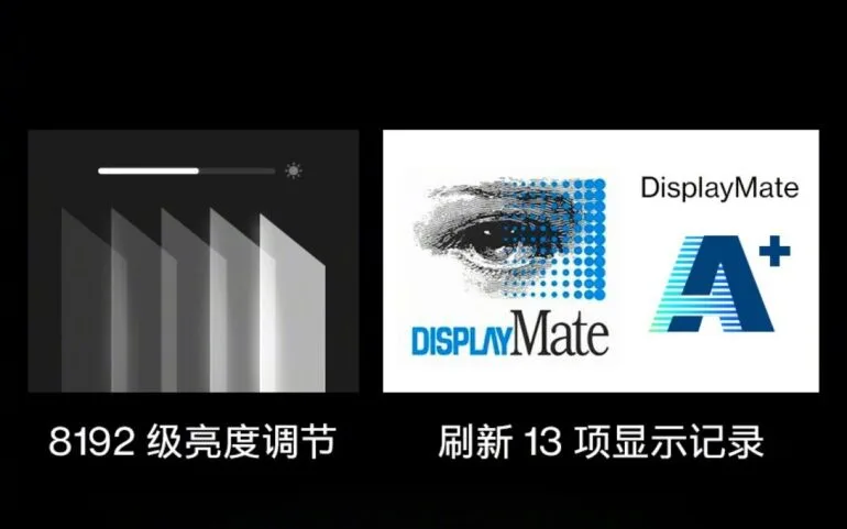 oneplus-9-series-display-revealed-2