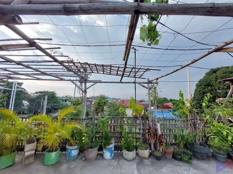 samsung galaxy A52 sample photos (9)