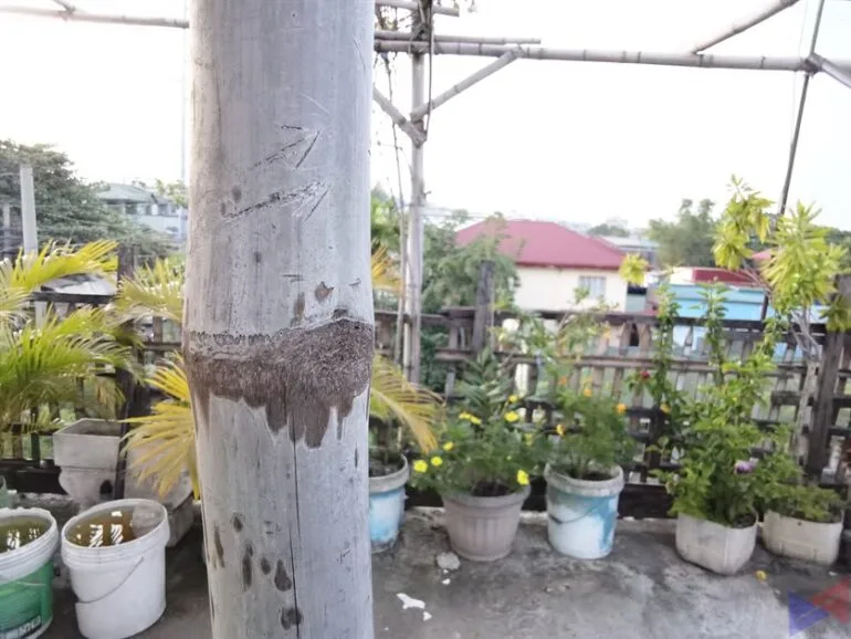 Huawei MatePad 2021 Camera Sample (13)