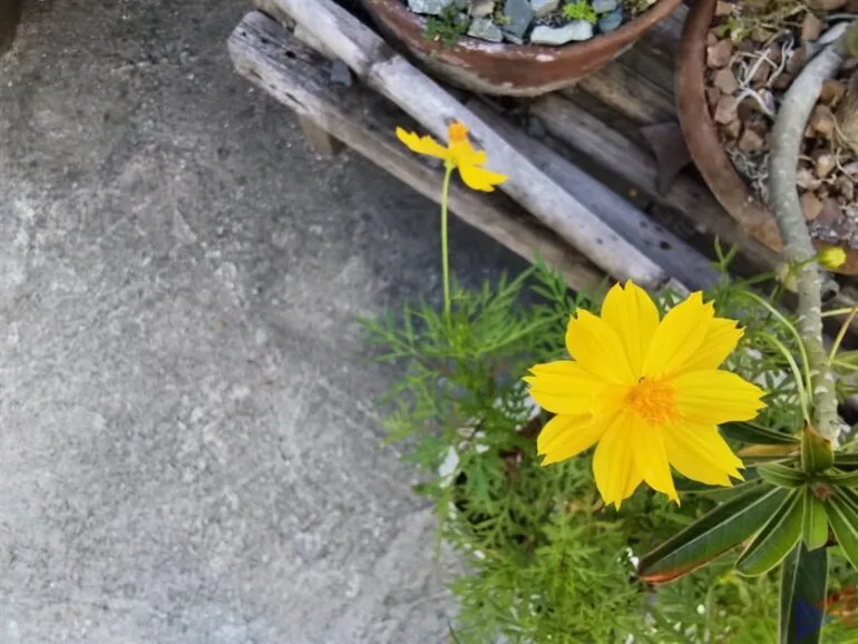 Huawei MatePad 2021 Camera Sample (3)