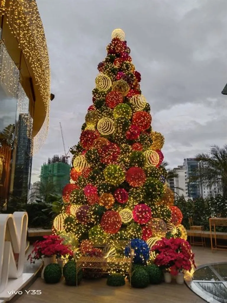 vivo Y35 New Camera Samples (14)
