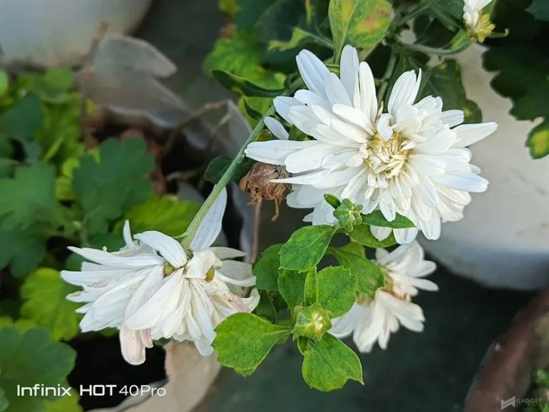 Infinix HOT 40 Pro Camera Samples (4)