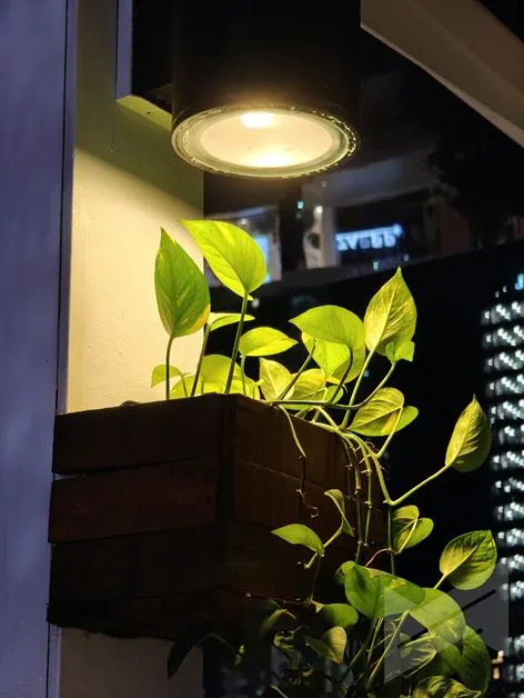 realme 12 Pro Plus 5G Camera (71)