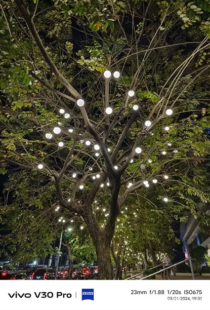 vivo V30 Pro Review Camera (176)