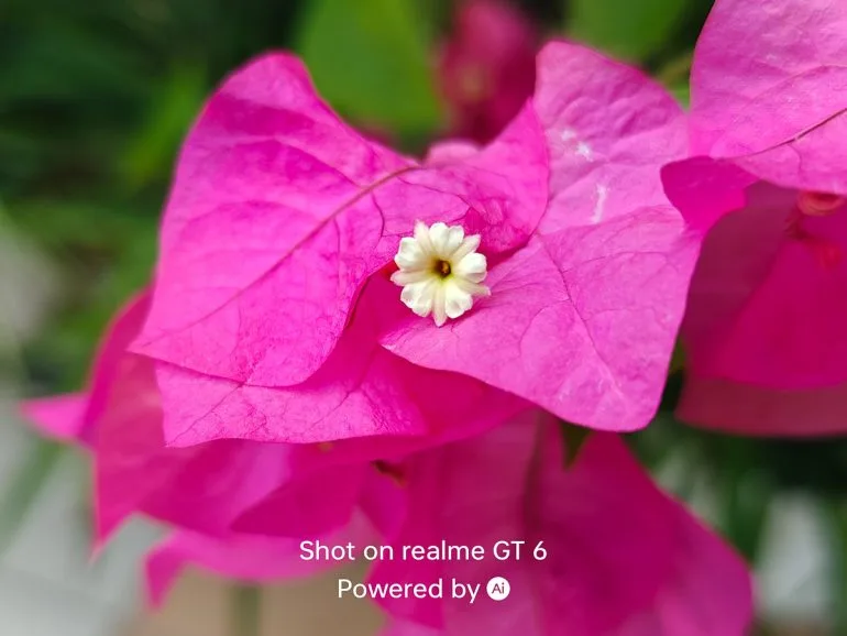 realme gt 6 sample photo