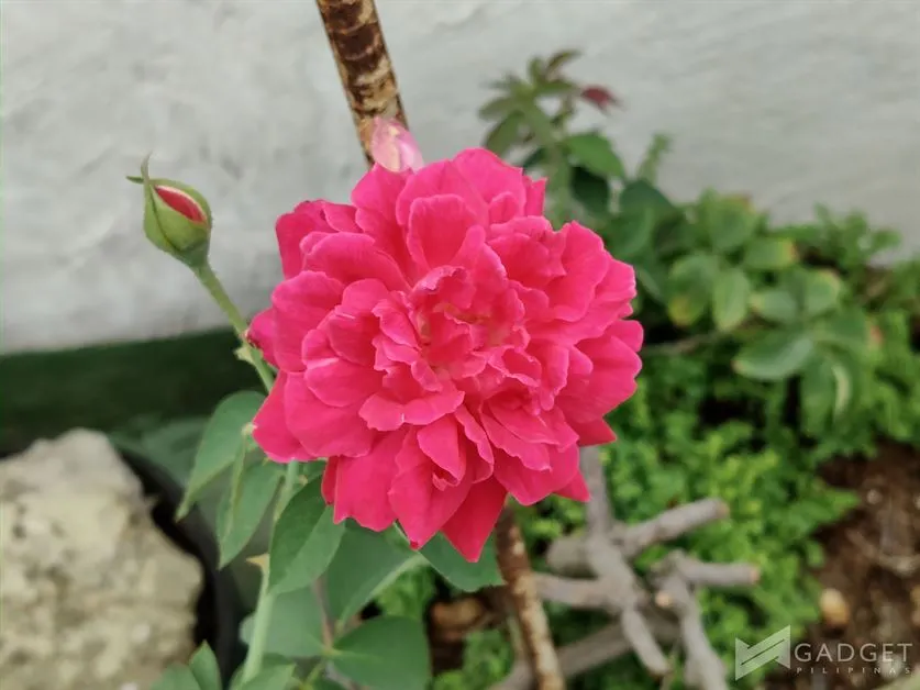 realme 13 Pro 5G Review Camera (43)