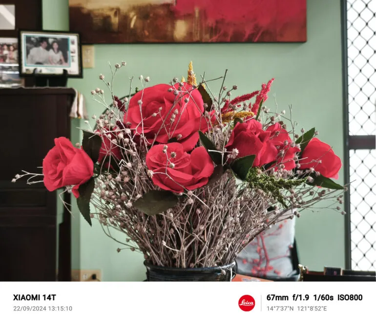 Xiaomi 14T Sample Photo 24