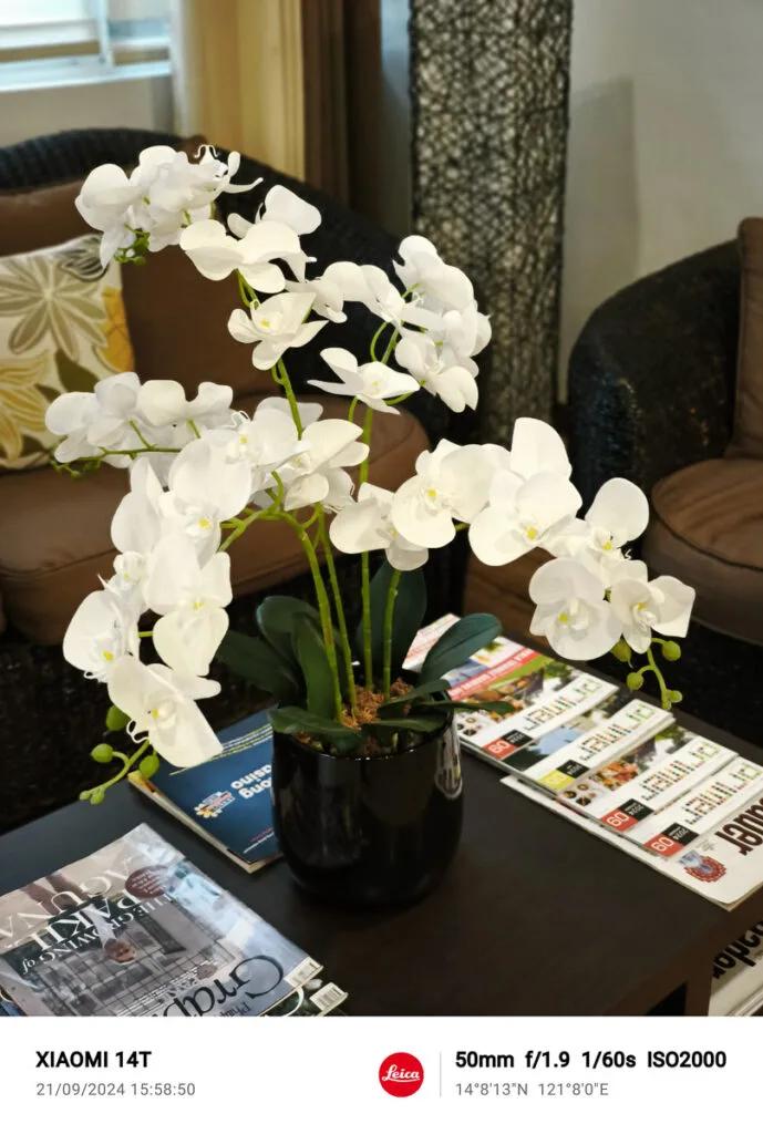 Xiaomi 14T Sample Photo 46