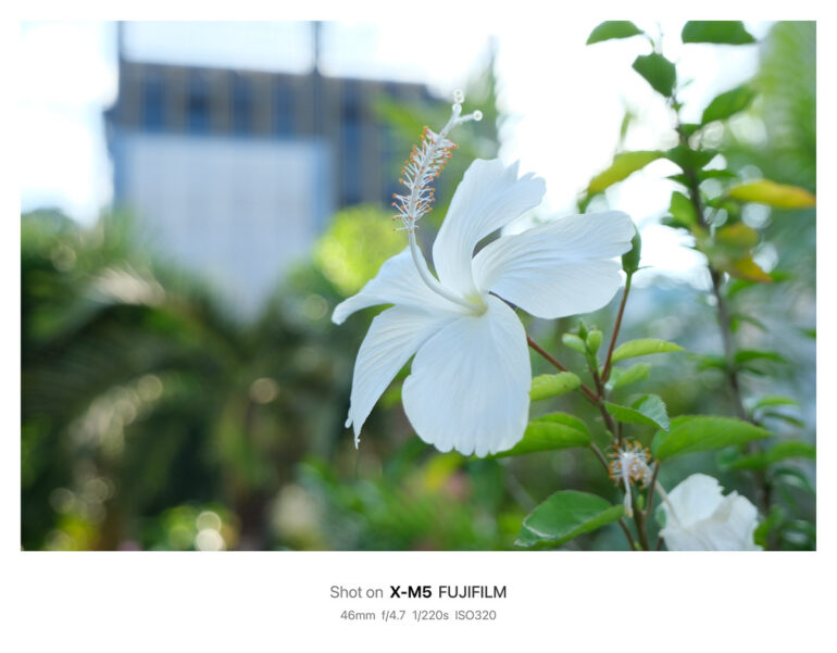 Fujifilm X M5 Sample Photo 16