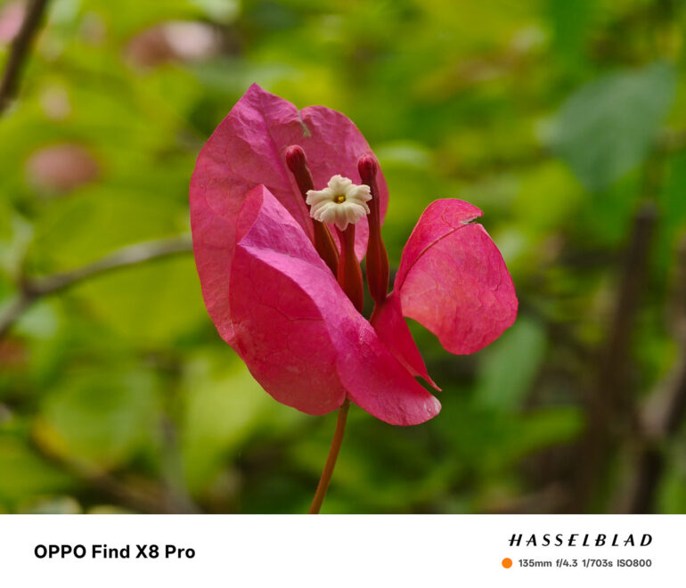 OPPO Find X8 Pro Review Sample Photo 05