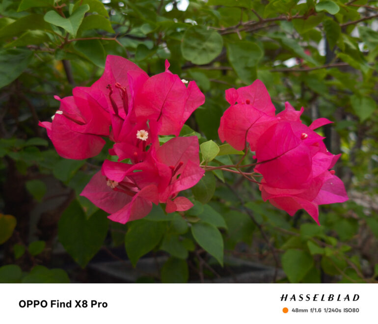 OPPO Find X8 Pro Review Sample Photo 06