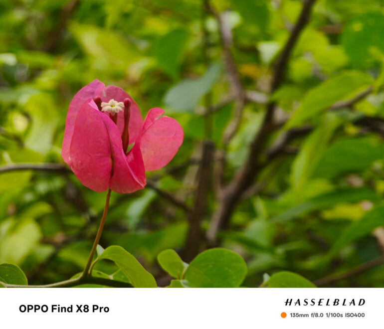 OPPO Find X8 Pro Review Sample Photo 08