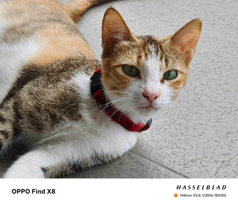 OPPO Find X8 Review Sample Photo 24