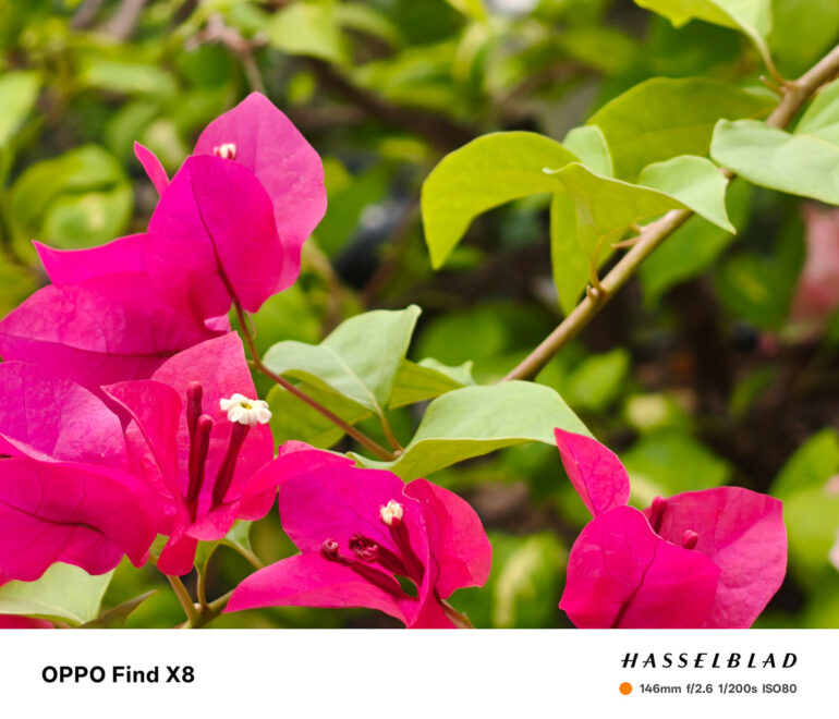 OPPO Find X8 Review Sample Photo 32