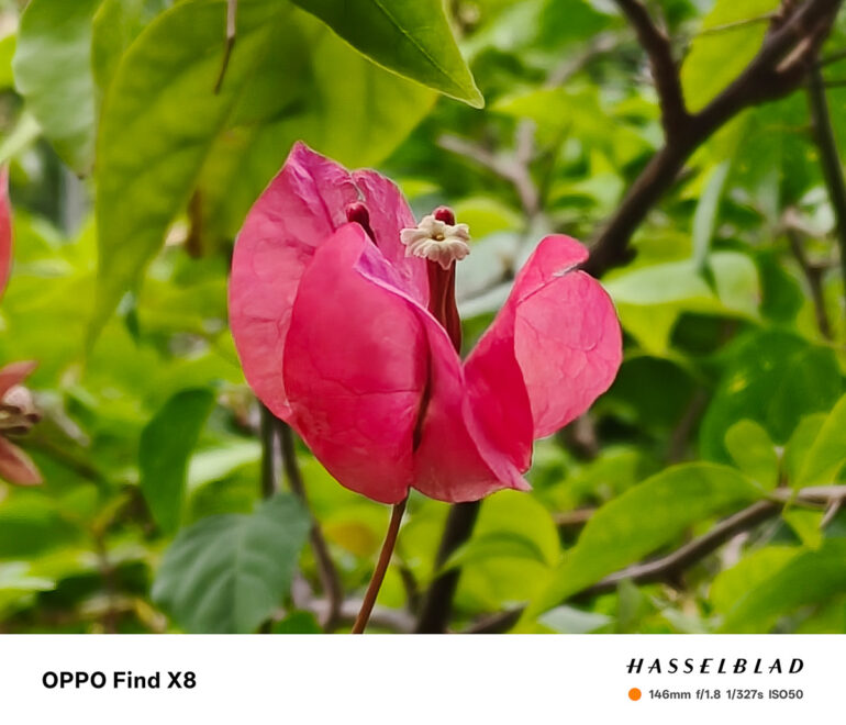 OPPO Find X8 Review Sample Photo 33