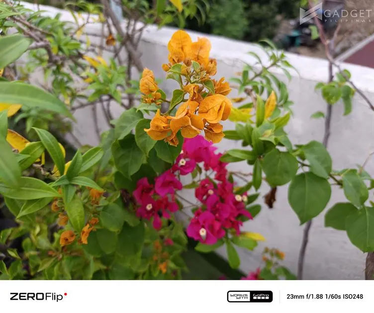 Infinix ZERO Flip Review Camera (39)