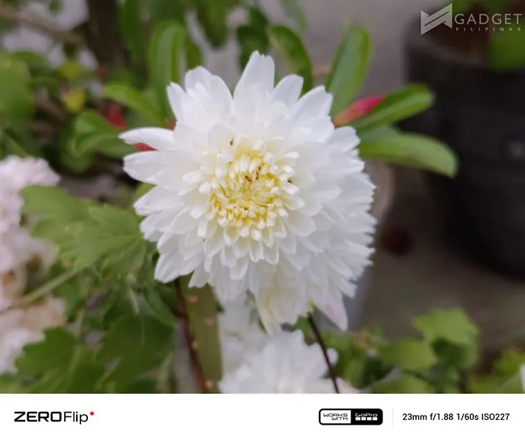 Infinix ZERO Flip Review Camera (41)