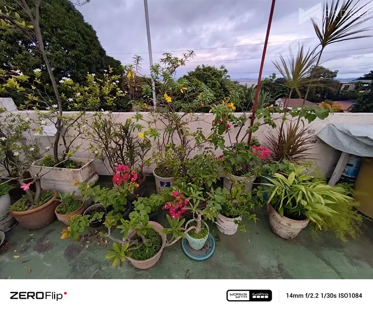 Infinix ZERO Flip Review Camera (71)