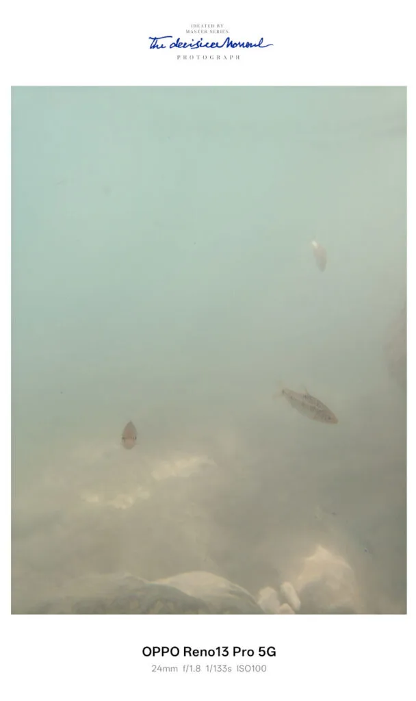 OPPO Reno13 Pro 5G Review rear camera sample underwater 1