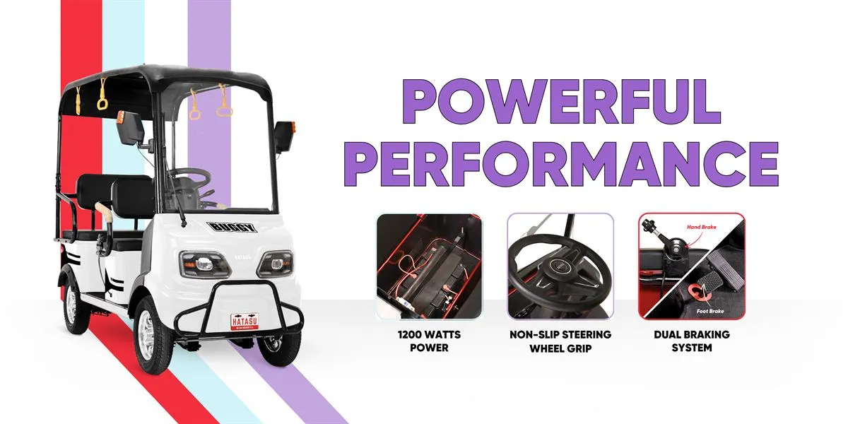 HATASU Buggy Powerful Performance 2