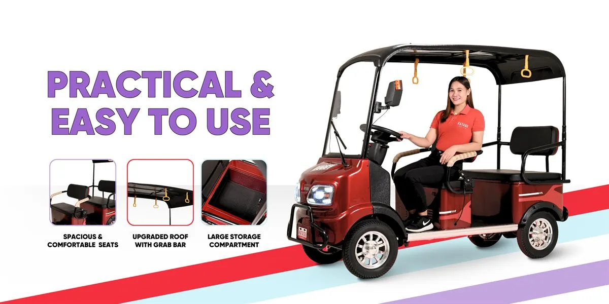 HATASU Buggy Practical & Easy to Use 4