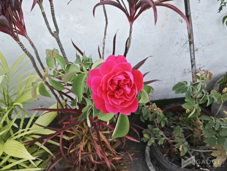 Xiaomi Pad 7 Review Camera (22)