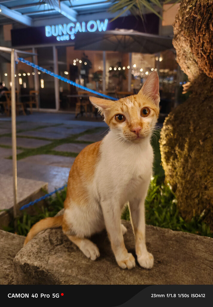 TECNO Camon 40 Pro 5G Sample Photo