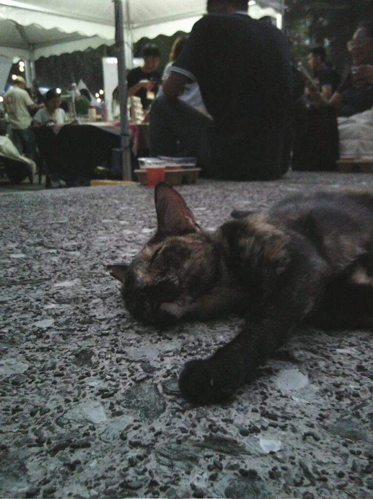 Yashica DZ100 x Hello Kitty experience camera sample 5
