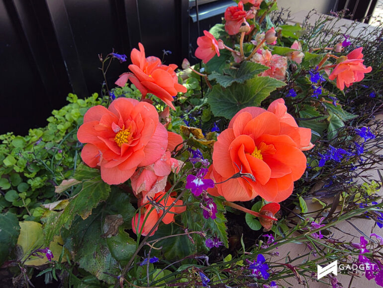 Galaxy Z Fold 7 Review Sample Photo 23