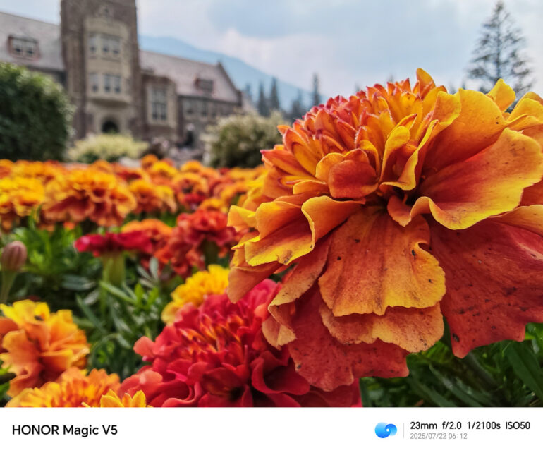 HONOR Magic V5 Philippines Sample Photo 07