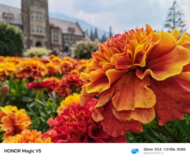 HONOR Magic V5 Philippines Sample Photo 07