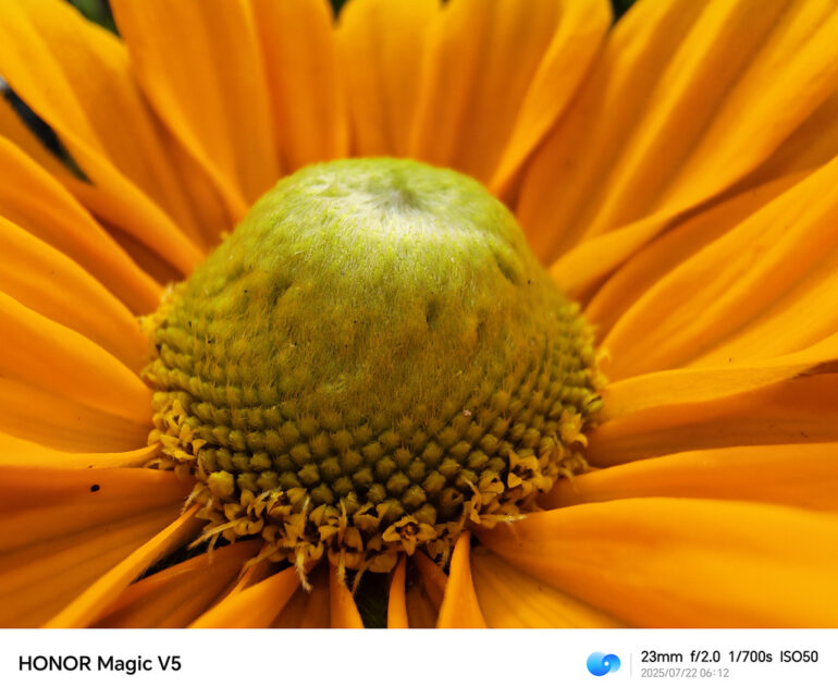 HONOR Magic V5 Philippines Sample Photo 08