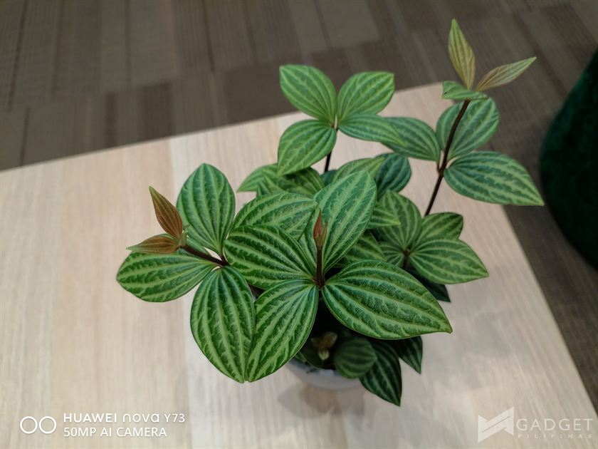 HUAWEI nova Y73 Review Camera (40)