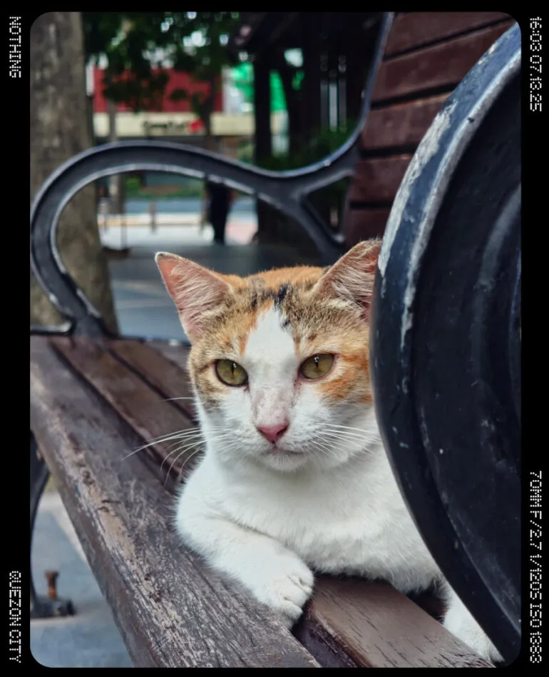 Nothing Phone (3) full review 2 camera sample 3x 3