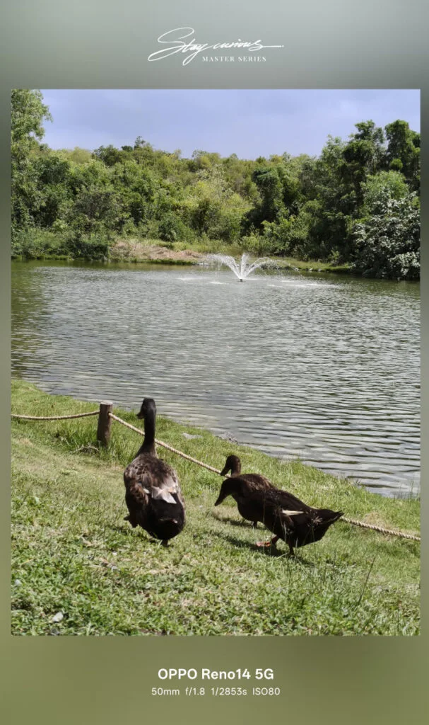 OPPO Reno14 5G First Impressions camera sample 3