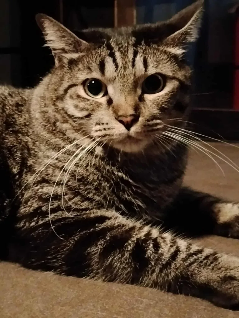 POCO M7 Sample Photo (1)